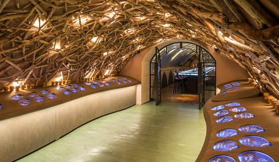 Visite des caves du Louvre + dégustation de 3 vins