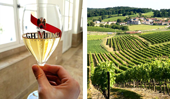 Excursion en Champagne Visitas y degustacion