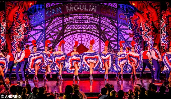 Moulin Rouge show+ 1/2 btle of Champagne