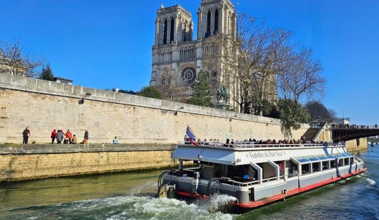 Croisière d'une heure sur la Seine au départ du Pont Neuf