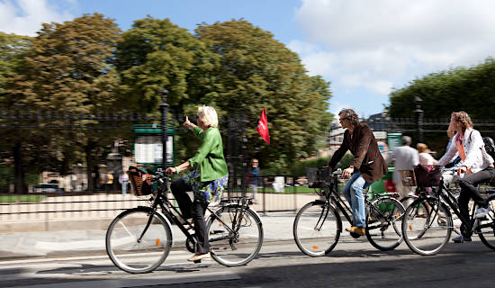 Guided tour of Paris by electric bike