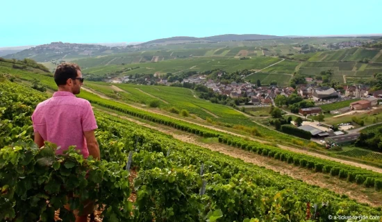 Private tour of the Sancerre and Burgundy vineyards departing from Paris in a comfortable minivan