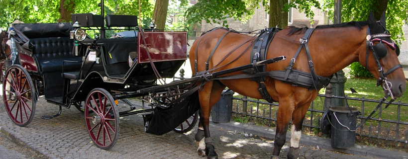 Promenade en calche  Bruges
