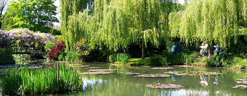 Pond of Water Lilies in the gardens of Monet