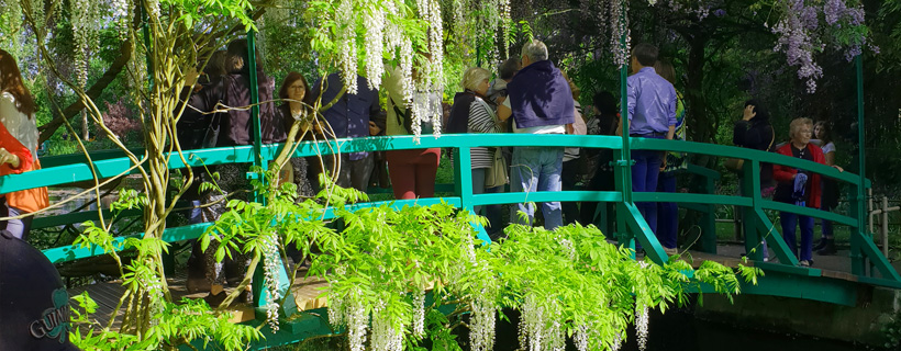 The japanese bridge