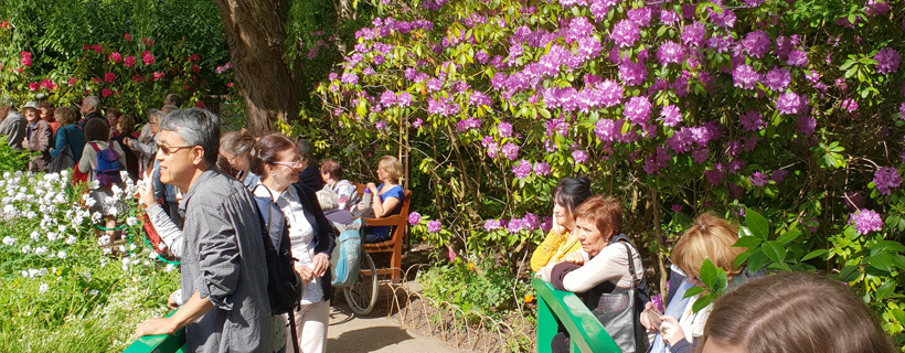 The gardens