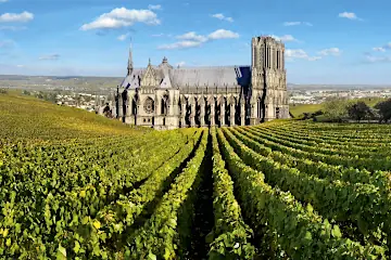 Excursion d'une journée en Champagne